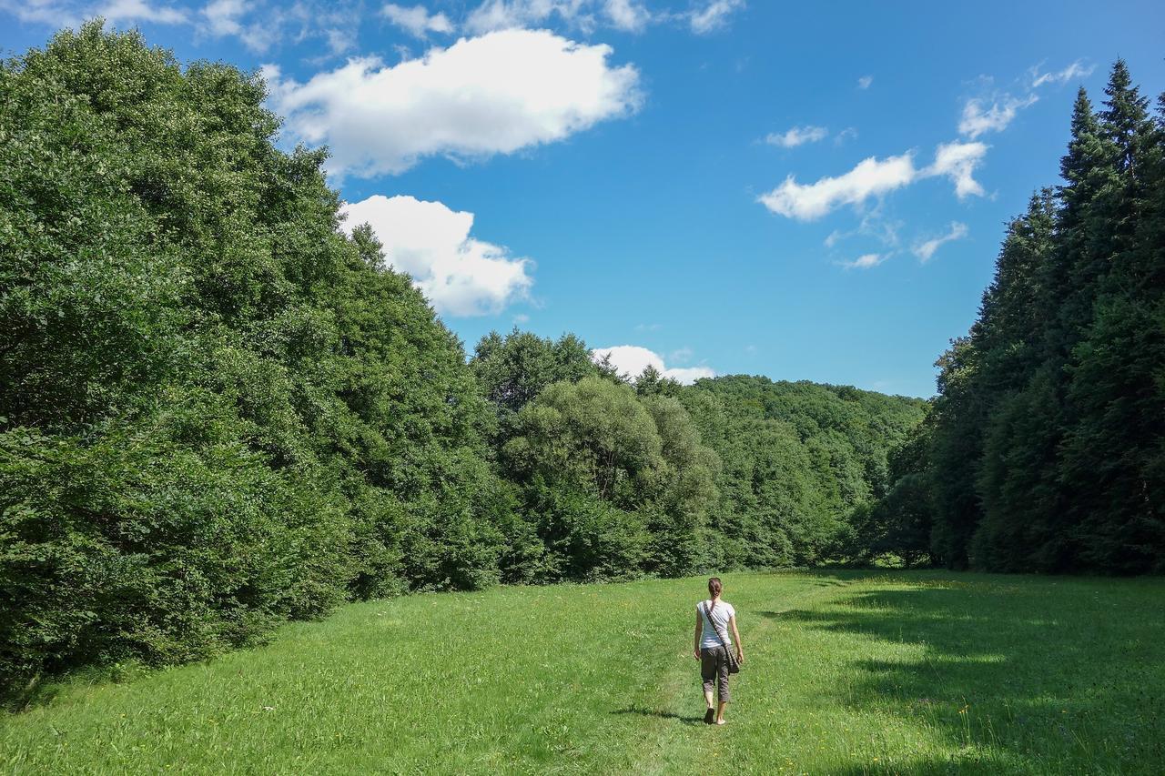 Baumhaushotel Seemuhle Gräfendorf Zewnętrze zdjęcie